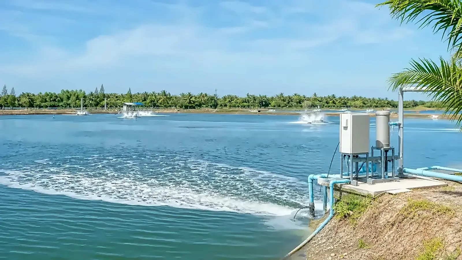 Oxynity generator beside a shrimp pond